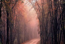 Kaiyun：英超：切尔西击退狼队.