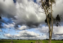 吕迪格社媒：上半场精彩下半场疯狂,重要的是晋级四强__财经....