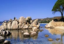 托里斯戴帽 巴塞5比0大胜晋级国王杯半决赛.